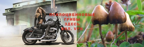 ALPHA PVP Снежинск