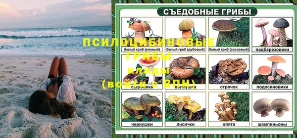 индика Слюдянка