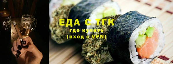 индика Слюдянка