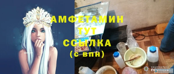 индика Слюдянка