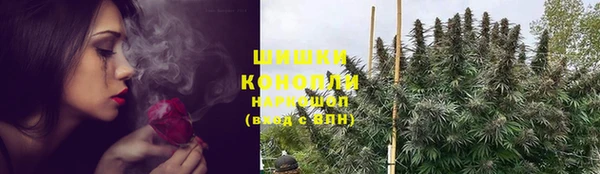 ALPHA PVP Снежинск