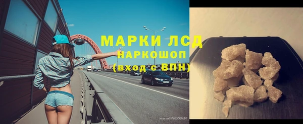 индика Слюдянка