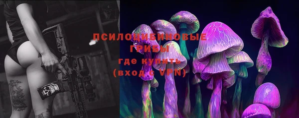 эйфоретик Снежногорск