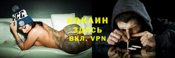 индика Слюдянка