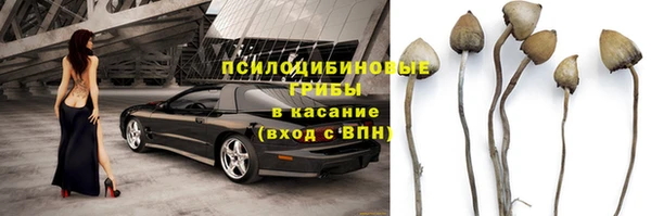 ALPHA PVP Снежинск