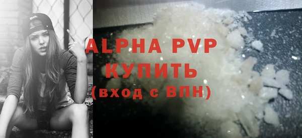 индика Слюдянка
