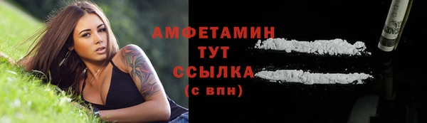 индика Слюдянка