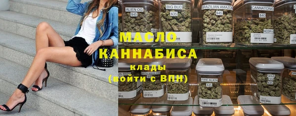 индика Слюдянка