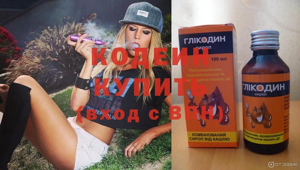 индика Слюдянка
