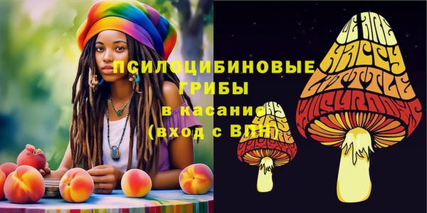 индика Слюдянка