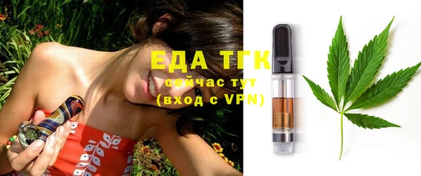 индика Слюдянка