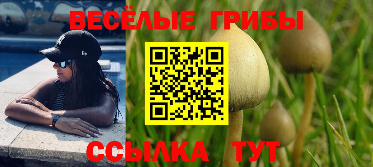 Снежинск  Псилоцибиновые грибы прущие грибы  Вход с VPN 