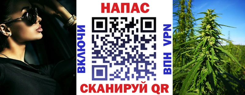 Бошки Шишки планчик Снежинск